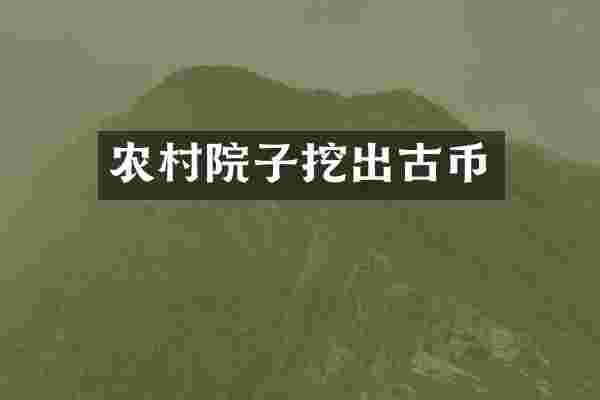 农村院子挖出古币