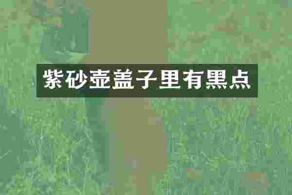 紫砂壶盖子里有黑点