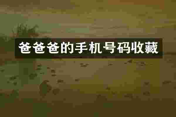 爸爸爸的手机号码收藏
