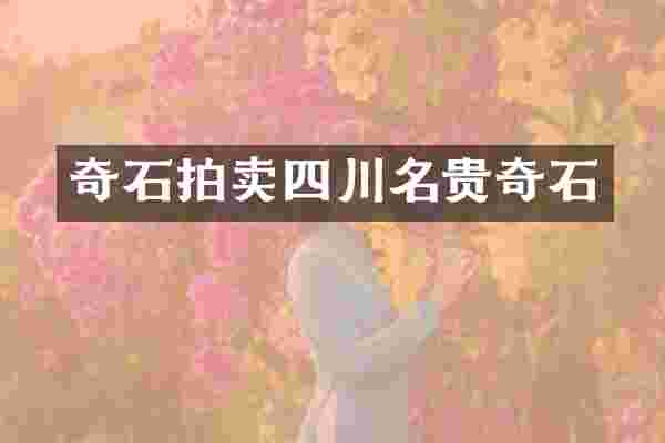 奇石拍卖四川名贵奇石