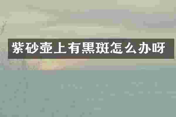 紫砂壶上有黑斑怎么办呀