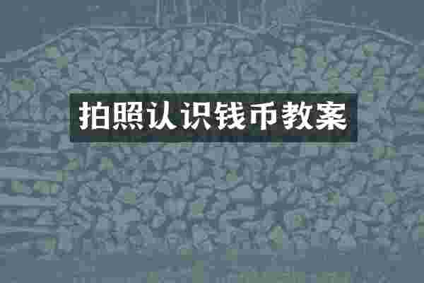拍照认识钱币教案