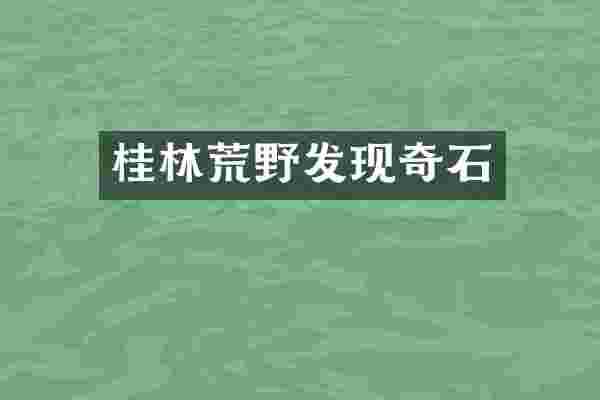 桂林荒野发现奇石
