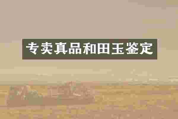 专卖真品和田玉鉴定