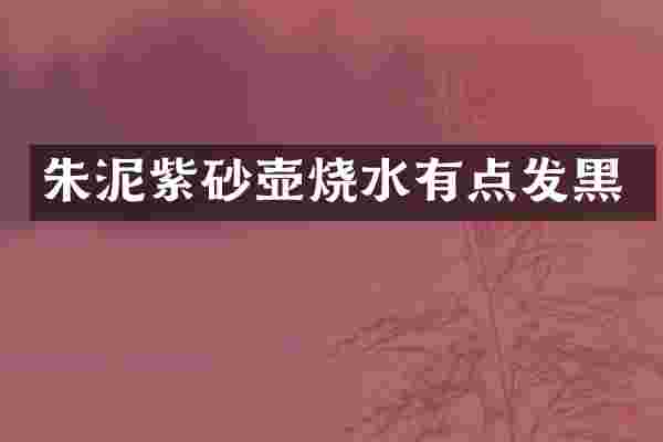 朱泥紫砂壶烧水有点发黑