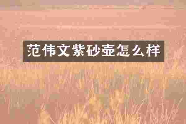 范伟文紫砂壶怎么样