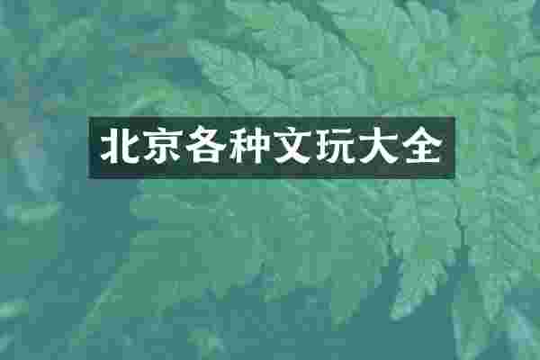北京各种文玩大全