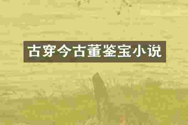 古穿今古董鉴宝小说