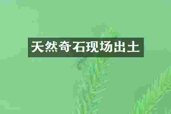 天然奇石现场出土