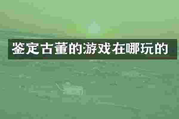 鉴定古董的游戏在哪玩的