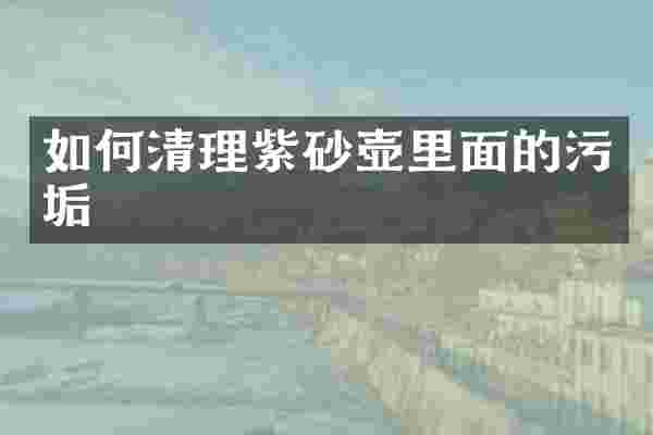 如何清理紫砂壶里面的污垢