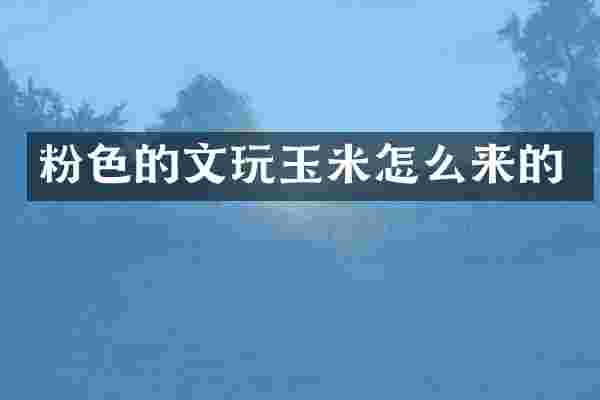 粉色的文玩玉米怎么来的