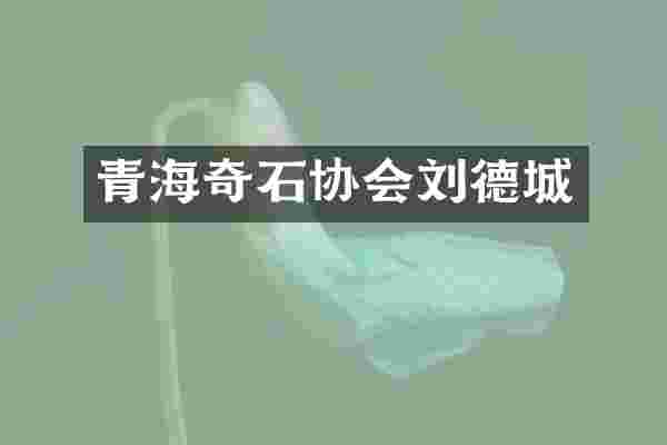 青海奇石协会刘德城