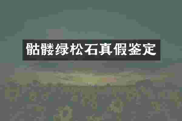 骷髅绿松石真假鉴定