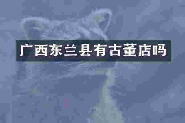 广西东兰县有古董店吗