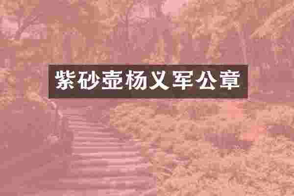紫砂壶杨义军公章