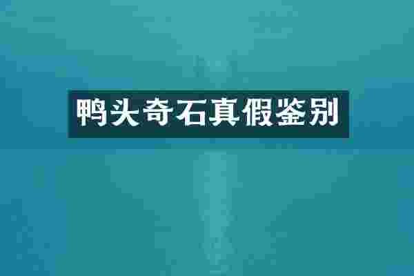 鸭头奇石真假鉴别