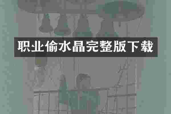 职业偷水晶完整版下载