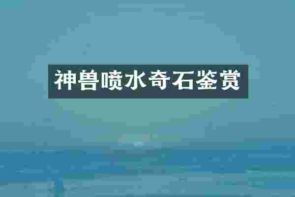神兽喷水奇石鉴赏