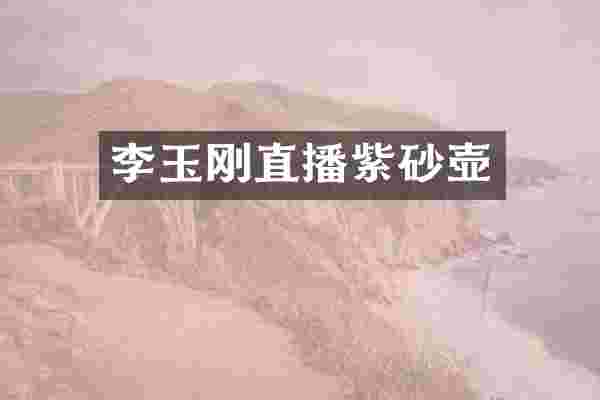 李玉刚直播紫砂壶