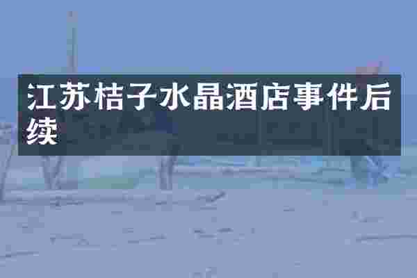 江苏桔子水晶酒店事件后续