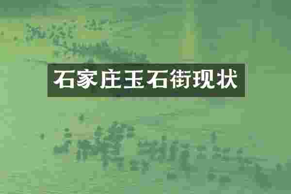 石家庄玉石街现状