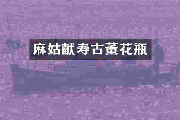 献寿古董花瓶