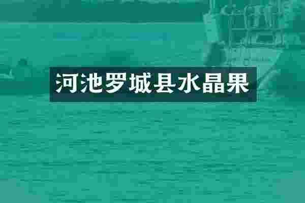 河池罗城县水晶果