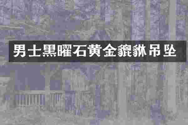 男士黑曜石黄金貔貅吊坠