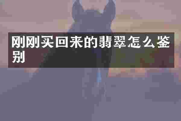 刚刚买回来的翡翠怎么鉴别