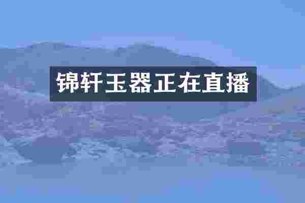 锦轩玉器正在直播