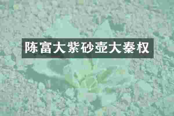 陈富大紫砂壶大秦权