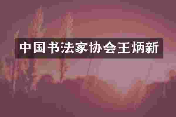 中国书法家协会王炳新