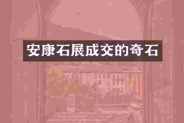 安康石展成交的奇石