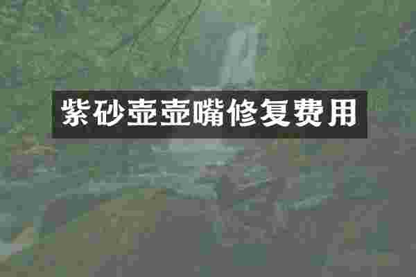 紫砂壶壶嘴修复费用