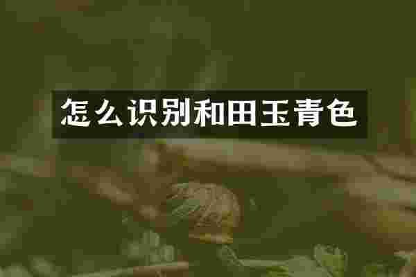 怎么识别和田玉青色