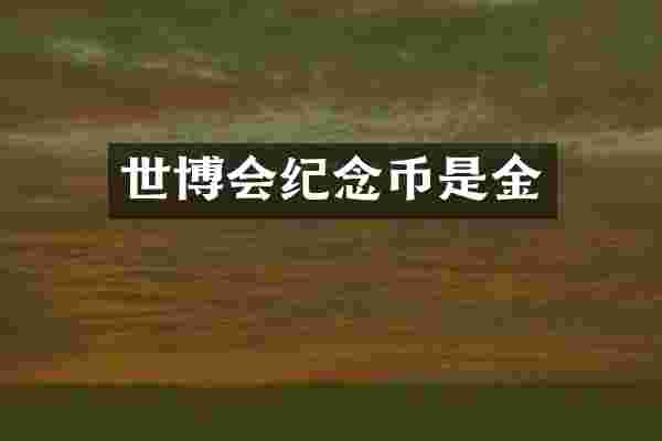 世博会纪念币是金