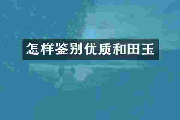 怎样鉴别优质和田玉