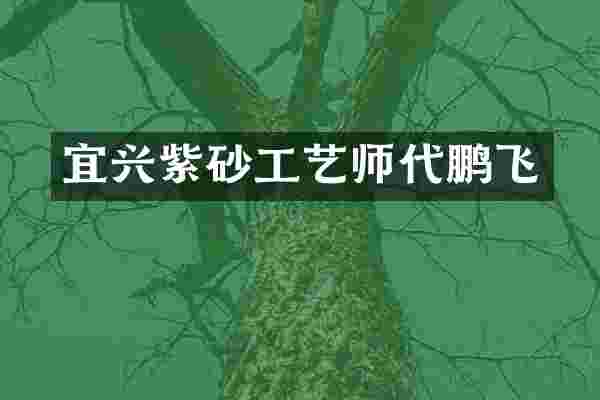宜兴紫砂工艺师代鹏飞