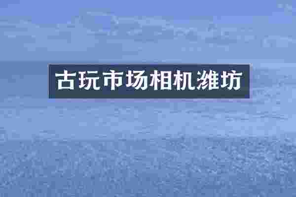 古玩市场相机潍坊