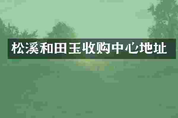 松溪和田玉收购中心地址