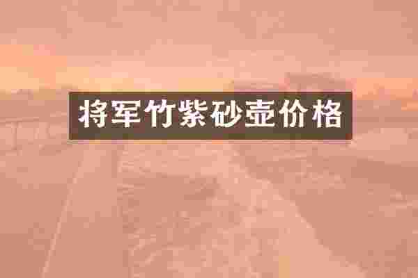 将军竹紫砂壶价格
