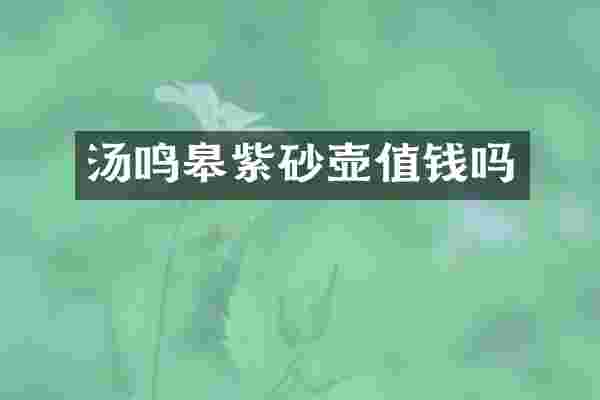 汤鸣皋紫砂壶值钱吗
