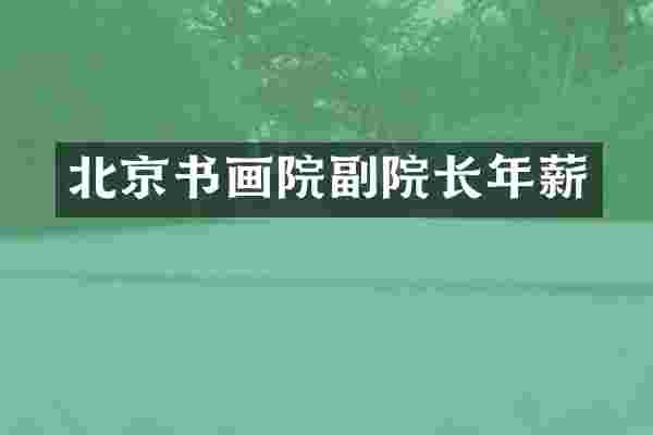 北京书画院副院长年薪