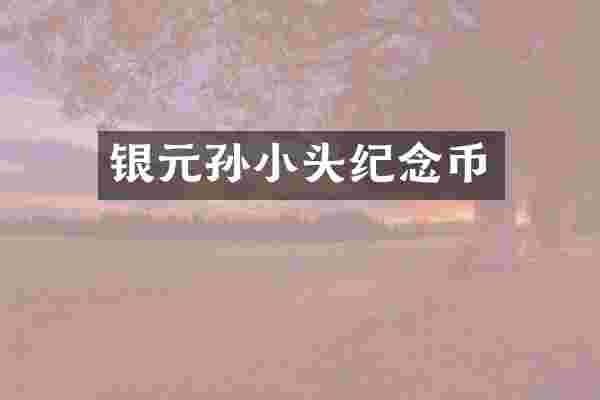 银元孙小头纪念币