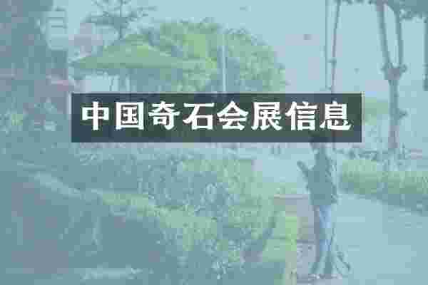 中国奇石会展信息