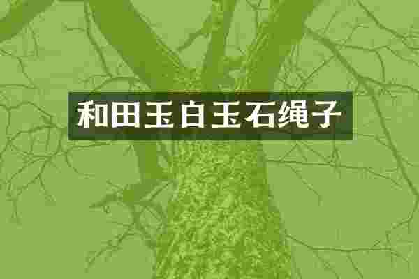 和田玉白玉石绳子