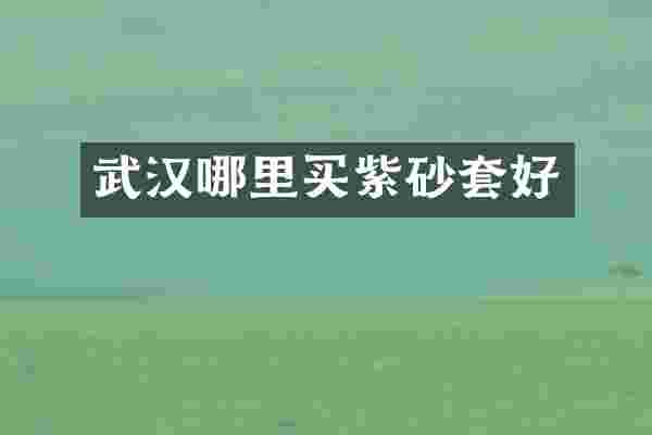 武汉哪里买紫砂套好