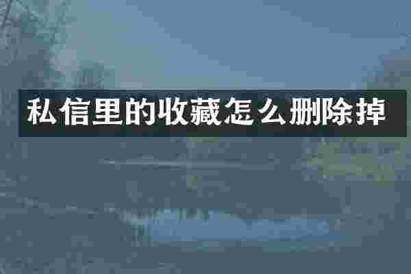 私信里的收藏怎么删除掉