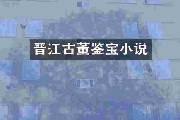 晋江古董鉴宝小说